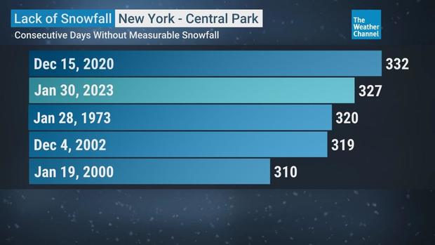 No sign of snow in New York City- Is climate change to blame?