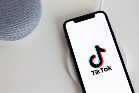 (An image of a phone with "TikTok" being opened, found on https://www.plannthat.com/how-to-use-tiktok-analytics-tool/)